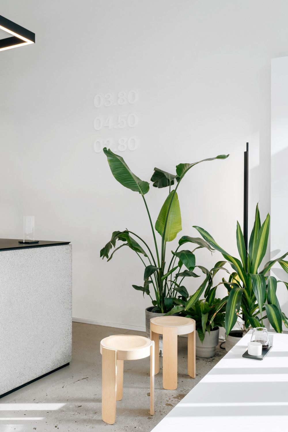 plants and stools at Tornqvist Coffee Hamburg designed by AENY
